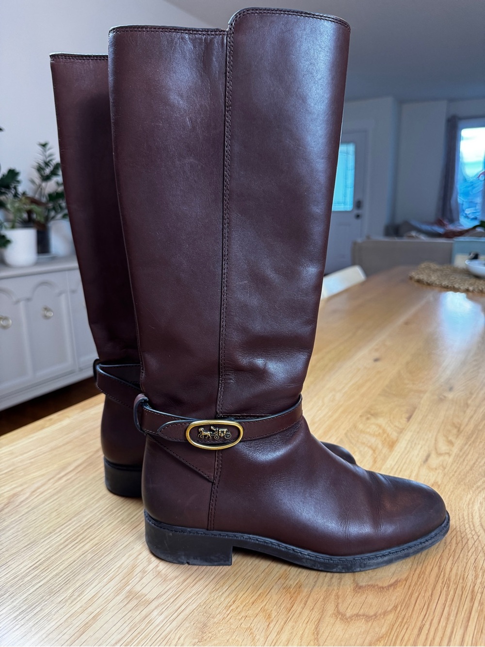 Coach Ruby Tall Riding Boots in Dark Brown Leather